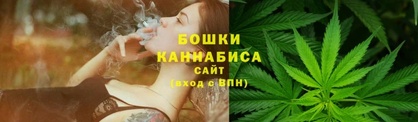 крисы Белоозёрский